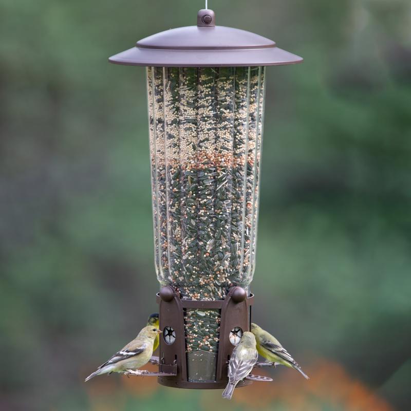 Perky-Pet Squirrel-Be-Gone Wild Bird 4 lb Plastic Ladder Bird Feeder 4 ports, Pack of 2