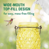 Perky-Pet Hummingbird 28 oz Glass/Plastic Pineapple Nectar Bird Feeder 5 ports, Pack of 2