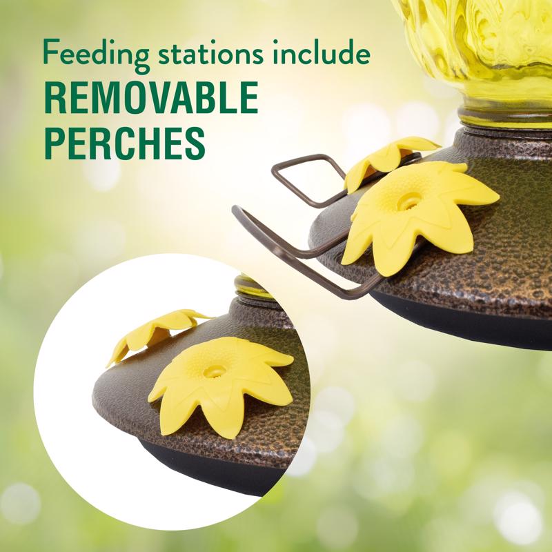 Perky-Pet Hummingbird 28 oz Glass/Plastic Pineapple Nectar Bird Feeder 5 ports, Pack of 2