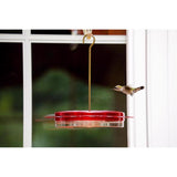 Birds Choice Hummingbird 0.75 oz Polycarbonate Hanging Nectar Bird Feeder 6 ports