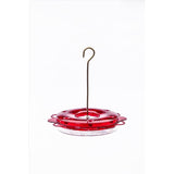 Birds Choice Hummingbird 0.75 oz Polycarbonate Hanging Nectar Bird Feeder 6 ports