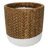Trendspot Assorted Ceramic 4 in. H X 4 in. L X 4 in. W Reed Citronella Candle, Pack of 9