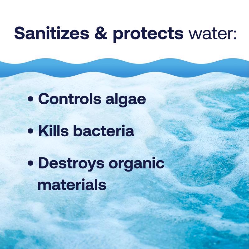 HTH Spa Powder Chlorinating Sanitizer 2.25 lb, Pack of 6