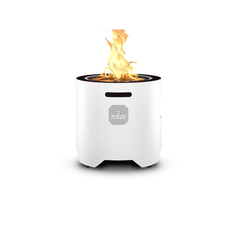 Ukiah Voyager 20 in. W Stainless Steel Round Propane Fire Pit with Sound System