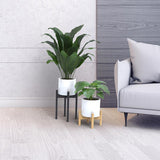 Panacea 15 in. H Assorted Wood Plant Stand