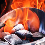 FOGO All Natural Coconut Charcoal Briquettes 15.4 lb