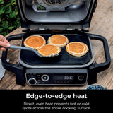 Ninja Woodfire Ceramic Grill Top Griddle 15 in. L X 11 in. W 1 pk