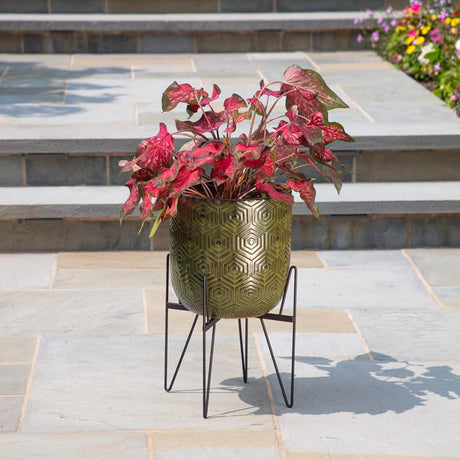 Gardien Black Steel Plant Stand