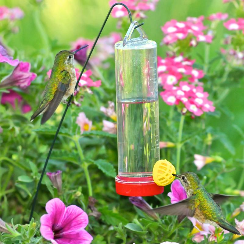 Perky-Pet Hummingbird 3 oz Plastic Bottle Nectar Bird Feeder 1 ports