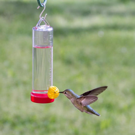 Perky-Pet Hummingbird 3 oz Plastic Bottle Nectar Bird Feeder 1 ports