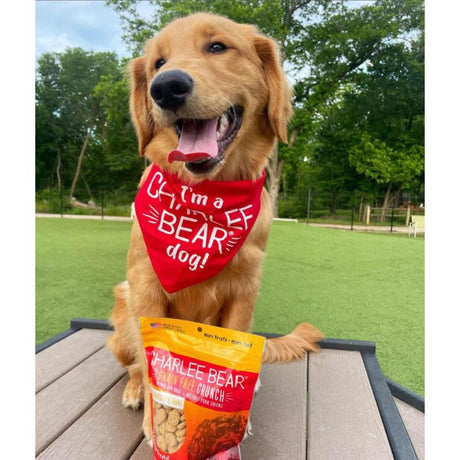 Charlee Bear Grain Free Crunch Bacon Blueberry Grain Free Biscuit For Dogs 8 oz 1 pk