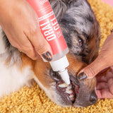 Skout's Honor Dog Dental Clean Gel 4 oz