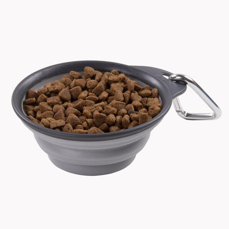 Dexas Gray Collapsible Rubber 1 cups Pet Bowl For Dogs
