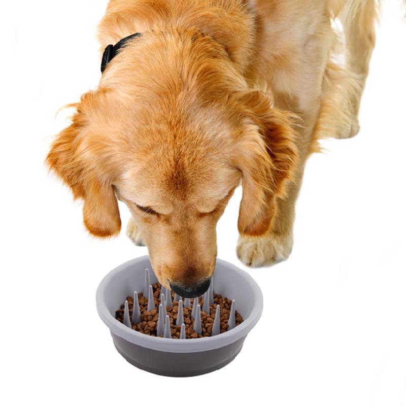 Dexas Gray Silicone 48 oz Slow Feeder For Dogs