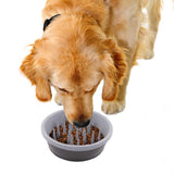 Dexas Gray Silicone 48 oz Slow Feeder For Dogs