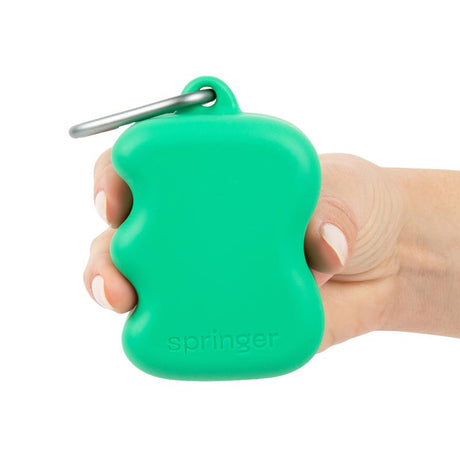 Springer For Dog Green Rubber Treat Pouch 1 pk