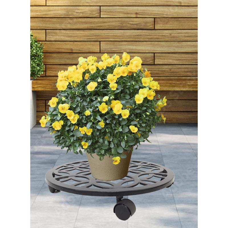 Living Accents 3 in. H Black Iron/Plastic Wheeled Plant Stand