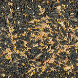 Kaytee Songbird Blend Songbird Black Oil Sunflower Seed Wild Bird Food 7 lb, Pack of 6