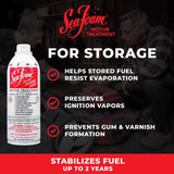 Sea Foam Gasoline/2 and 4 Cycle Engine Motor Treatment 16 oz