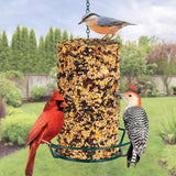 Kaytee Wild Bird Food 31.04 oz