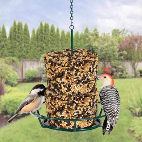 Kaytee Wild Bird Seed 7.4 oz