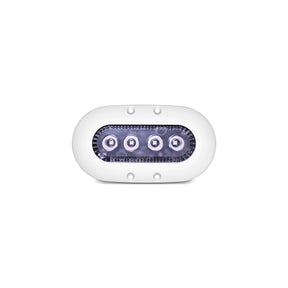 Ocean LED 012301W X4 Underwater Light, Ultra White