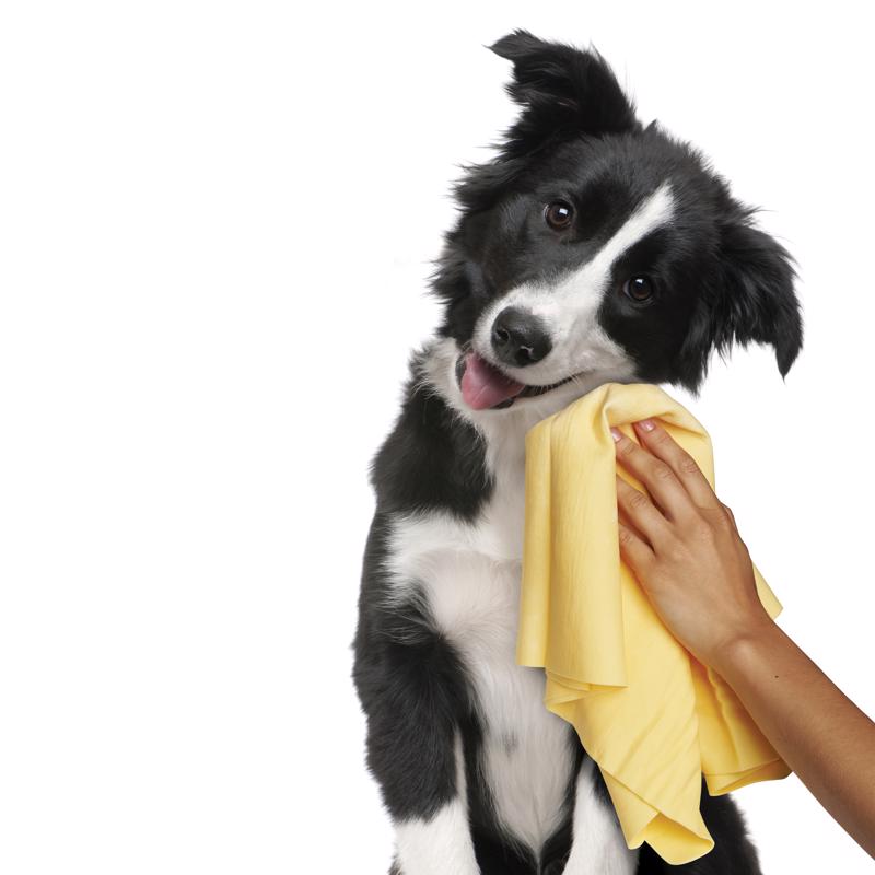 The Absorber Dog Lover's Towel Blue Dog Absorbent Towel 1 pk