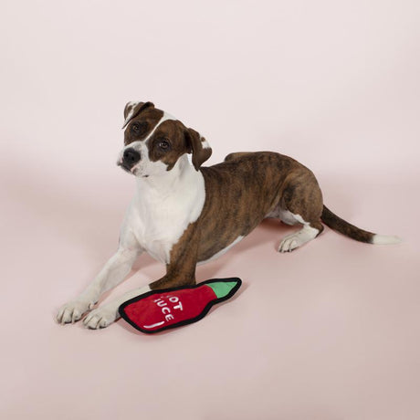 Pet Shop by Fringe Studio For Dog Multicolored Plush Hot Sauce Durable Pet Toy, Pack of 4