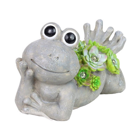 Exhart Assorted Resin 7.5 in. H Frog w/Succulents Statue, Pack of 4