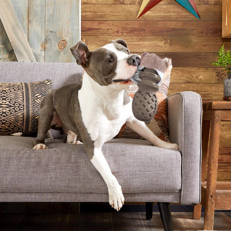 Bark Brown Cotton/Rubber PB Beaver Dog Toy Medium, Pack of 3