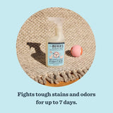 Mrs. Meyer's Clean Day Pets Liquid Odor & Stain Eliminator 16 oz, Pack of 6