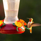 More Birds Hummingbird 25 oz Plastic Nectar Bird Feeder 4 ports, Pack of 4