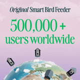 Bird Buddy 4 cups Plastic Perch Extender Smart-Enabled Smart Solar Camera Bird Feeder 1 ports