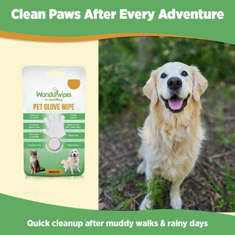 Wondurdog Wondurwipes White Unscented All Pets Glove Wipes 1.5 oz 1 pk