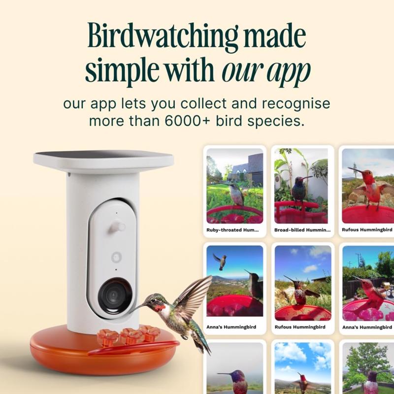 Bird Buddy Hummingbird 1.75 cups Plastic Smart-Enabled Smart Solar Camera Bird Feeder 3 ports