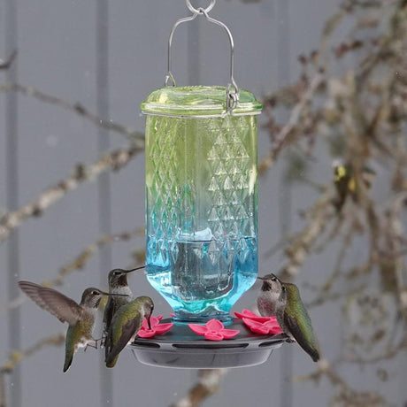 Nature's Way Hummingbird 23 oz Glass Bird Feeder 6 ports