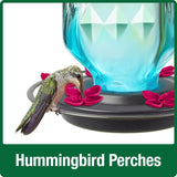Nature's Way Hummingbird 23 oz Glass Bird Feeder 6 ports
