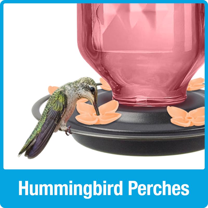 Nature's Way Hummingbird 23 oz Glass/Metal/Plastic Bird Feeder with Ant Moat 6 ports