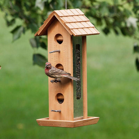 Birdscapes Bird Feeder Tin Jay Aluminum 2 lbs., Pack of 2