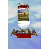 Humdinger Hummingbird 32 oz Glass Bottle Nectar Feeder 8 ports, Pack of 12
