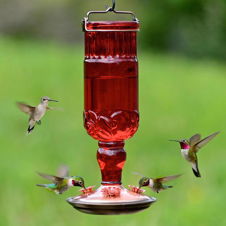 Perky-Pet Hummingbird 24 oz Copper/Glass Antique Bottle Nectar Bird Feeder 4 ports, Pack of 2