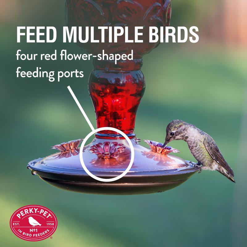 Perky-Pet Hummingbird 24 oz Copper/Glass Antique Bottle Nectar Bird Feeder 4 ports, Pack of 2