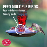 Perky-Pet Hummingbird 24 oz Copper/Glass Antique Bottle Nectar Bird Feeder 4 ports, Pack of 2