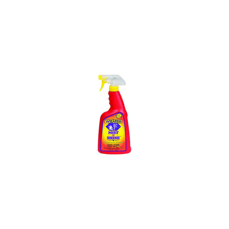Mist-N-Shine, 22 oz.