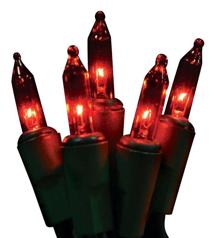 Holiday Bright Lights 201007MBX Light Set, 100-Lamp, Incandescent Lamp, Red Lamp, 46 ft L