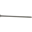 NAIL CMMN BRT 60D 6IN 50LB