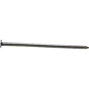 NAIL CMMN BRT 60D 6IN 50LB