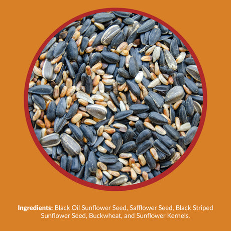 Lyric Wild Bird Food 3.75 lb