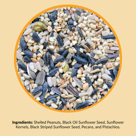 Lyric Wild Bird Food 4 lb