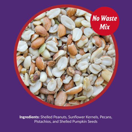 Lyric Delite Wild Bird Food 20 lb